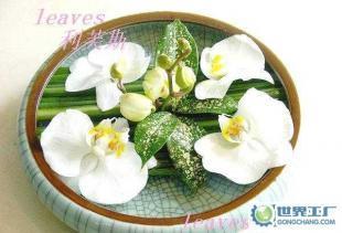 禮品花卉銷售 鮮花、觀葉植物與綠化租賃服務(wù)的綜合解決方案