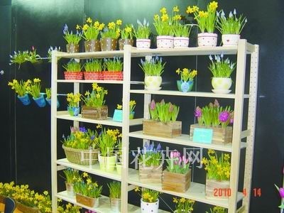 外國(guó)展商瞄準(zhǔn)中國(guó)禮品花卉市場(chǎng)需求 看好市場(chǎng)前景