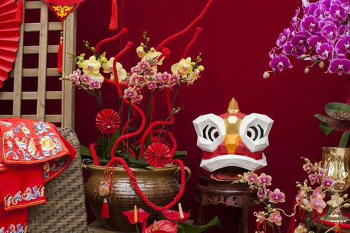 虹越黑五2019年宵花禮5折預(yù)售 與家人動(dòng)手過新年，禮品花卉溫暖冬日